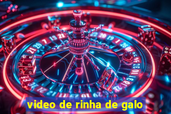 video de rinha de galo